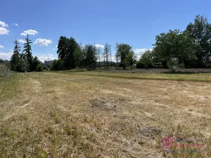 Prodej pozemku pro bydlení, Břeclav - Poštorná, 4463 m2