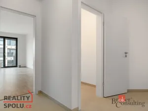 Prodej bytu 2+kk, Plzeň - Jižní Předměstí, Železná, 81 m2