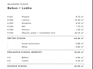 Prodej bytu 2+kk, Plzeň - Jižní Předměstí, Železná, 81 m2