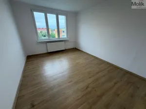Pronájem bytu 3+1, Most, Česká, 81 m2