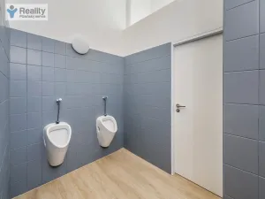 Pronájem kanceláře, Plzeň - Jižní Předměstí, Kovářská, 88 m2