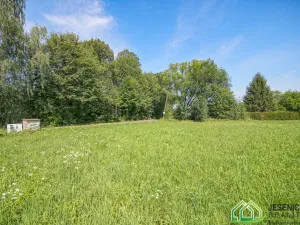 Prodej pozemku pro bydlení, Černá Voda, 794 m2