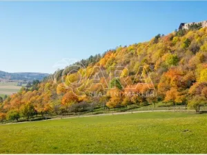 Prodej pozemku pro bydlení, Chlustina, 3708 m2