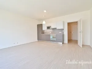 Pronájem bytu 1+kk, Brno, Sportovní, 39 m2