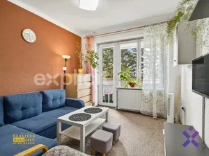 Prodej bytu 2+1, Uherský Brod, U Plynárny, 51 m2