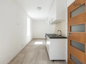 Pronájem bytu 1+kk, Zvěstov - Roudný, 27 m2