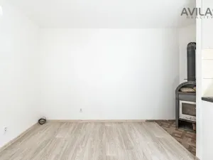 Pronájem bytu 1+kk, Zvěstov - Roudný, 27 m2