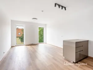 Pronájem bytu 1+kk, Praha - Čakovice, Danielova, 36 m2