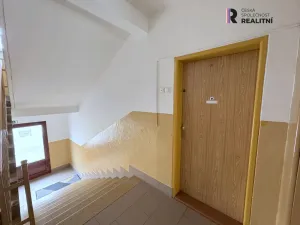 Pronájem bytu 2+1, Ostrov, S. K. Neumanna, 56 m2
