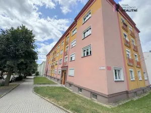 Pronájem bytu 2+1, Ostrov, S. K. Neumanna, 56 m2