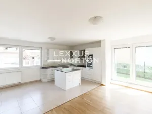 Pronájem vily, Průhonice, Pod Valem II., 400 m2