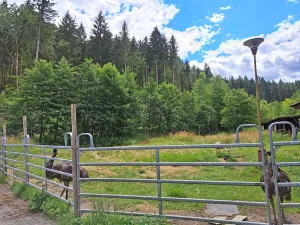 Prodej komerční nemovitosti, Valašské Klobouky, Brumovská, 467 m2