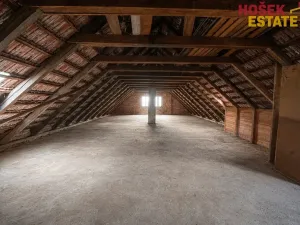 Prodej rodinného domu, Trnové Pole, 290 m2