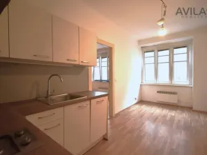 Pronájem bytu 2+kk, Praha - Žižkov, Ambrožova, 49 m2