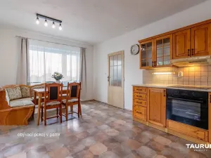 Prodej rodinného domu, Břasy - Stupno, 211 m2