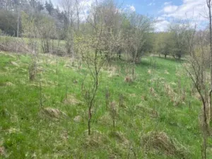 Prodej pozemku pro bydlení, Sázava, 7630 m2