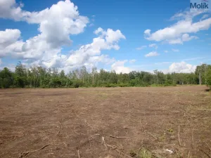 Prodej pozemku pro bydlení, Mariánské Radčice, Československé armády, 998 m2