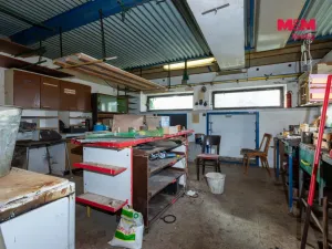 Prodej zemědělské usedlosti, Březová - Lesní Albrechtice, 110 m2