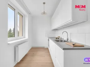 Prodej bytu 3+1, Vysoké Mýto - Pražské Předměstí, Rašínova, 62 m2