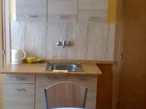 Pronájem bytu 2+1, Prostějov, 110 m2