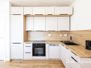 Pronájem bytu 2+kk, Praha - Vysočany, Gerstelova, 55 m2