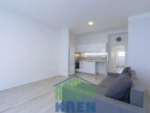 Prodej bytu 2+kk, Praha - Žižkov, Křišťanova, 49 m2