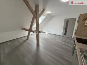 Pronájem bytu 2+kk, Město Touškov, Čemínská, 48 m2