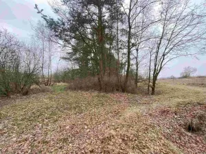 Prodej pozemku, Drahonice - Albrechtice, 2121 m2