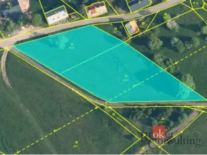 Prodej pozemku pro bydlení, Rokytnice nad Jizerou, 4354 m2