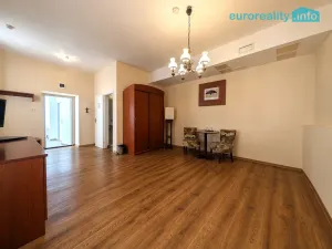 Pronájem obchodního prostoru, Plzeň, Zbrojnická, 30 m2
