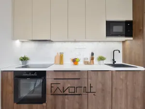 Prodej bytu 2+kk, Havířov, Elišky Krásnohorské, 36 m2