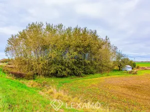 Prodej zahrady, Lipník, 1040 m2