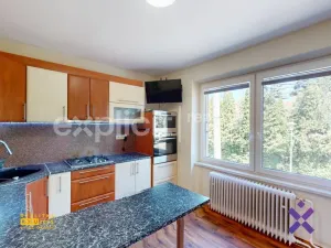 Pronájem bytu 3+1, Uherský Brod, Bedřicha Smetany, 75 m2