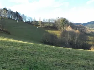 Dražba louky, Seninka, 13881 m2