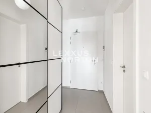 Pronájem bytu 1+kk, Praha - Žižkov, U Viktorie, 40 m2