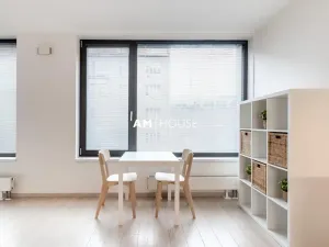 Pronájem bytu 1+kk, Praha - Karlín, Sokolovská, 38 m2