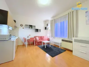 Pronájem bytu 1+kk, Praha - Michle, Na úlehli, 25 m2