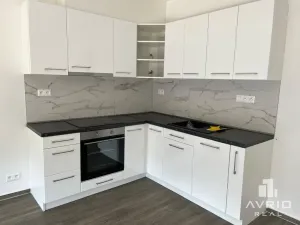 Pronájem bytu 1+kk, Brno, Ondřeje Sekory, 41 m2