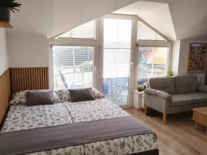 Prodej bytu 1+kk, Písek - Václavské Předměstí, Hostivítova, 35 m2