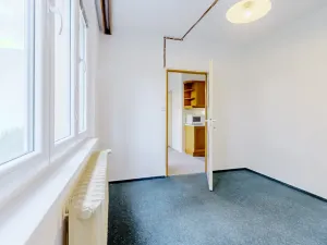 Pronájem bytu 3+1, Praha - Podolí, Na Zvoničce, 61 m2