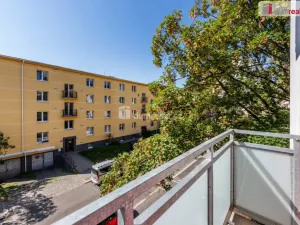 Prodej bytu 2+1, Praha - Žižkov, Buková, 54 m2