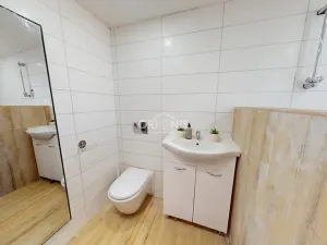 Prodej rodinného domu, Braňany, P. Bezruče, 266 m2