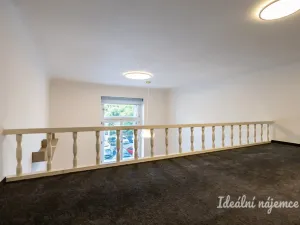 Pronájem bytu 1+kk, Praha - Karlín, Karlínské náměstí, 48 m2