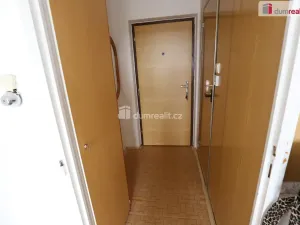 Pronájem bytu 1+kk, Karlovy Vary - Rybáře, U Koupaliště, 27 m2