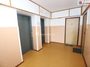 Pronájem bytu 1+kk, Karlovy Vary - Rybáře, U Koupaliště, 27 m2