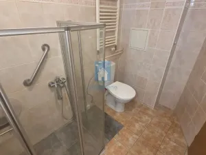 Pronájem bytu 2+kk, Plzeň, Spolková, 37 m2