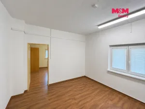 Pronájem výrobních prostor, Brno - Brněnské Ivanovice, Kaštanová, 596 m2