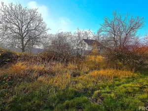 Prodej zahrady, Rousínov, 2698 m2