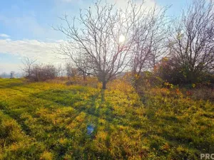 Prodej zahrady, Rousínov, 2698 m2