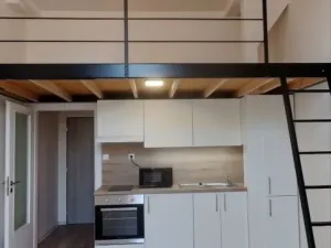 Pronájem bytu 1+kk, Ostrava - Přívoz, Palackého, 26 m2
